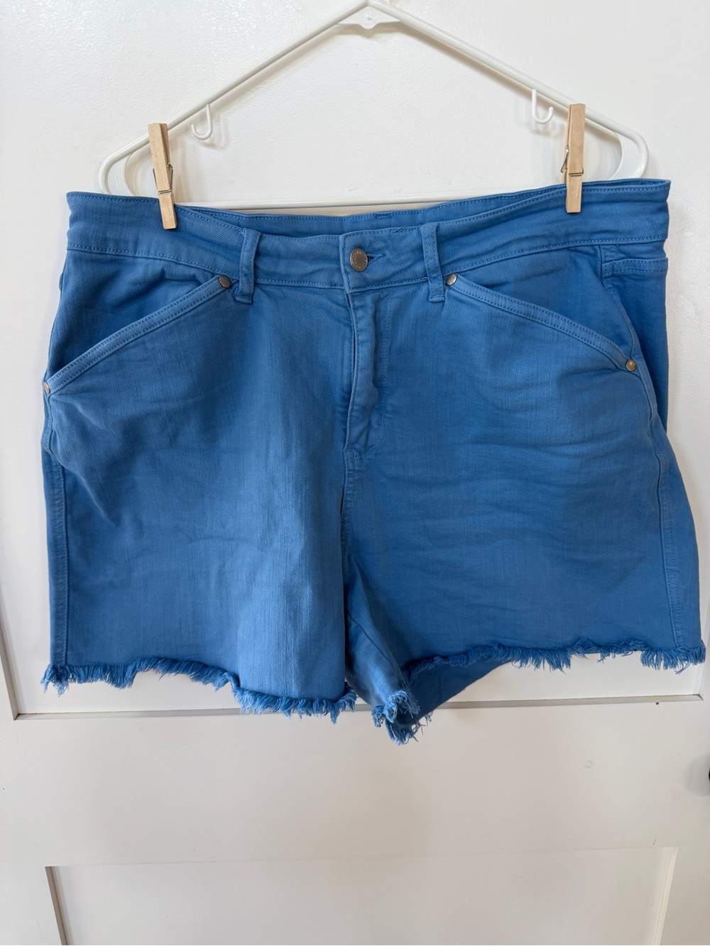 Judy Blue Blue Shorts 2XL 16 18 Women's Blue Frayed Hem Denim Shorts